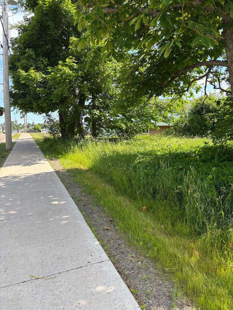 New Public Housing site in Springhill